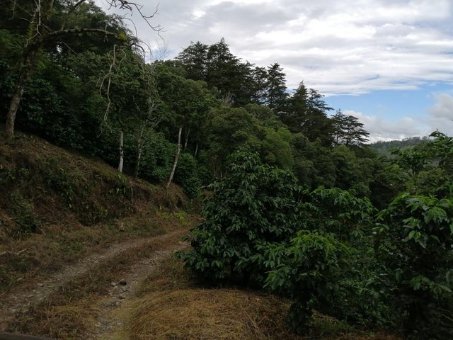 Land for Sale in Santa Clara 093/083 Chiriqui 04051